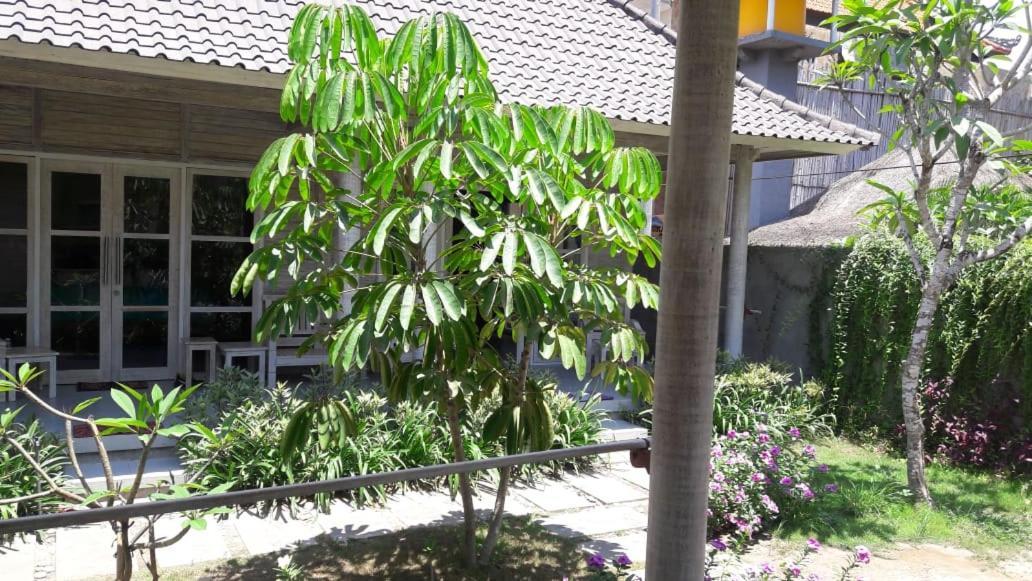 فندق Vista Huts Lembongan المظهر الخارجي الصورة