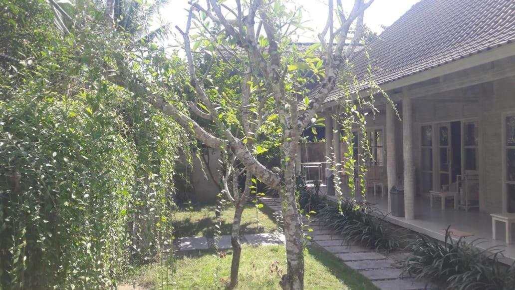 فندق Vista Huts Lembongan المظهر الخارجي الصورة